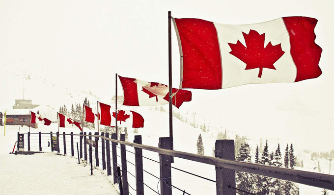 加拿大恢复临时居民签证和电子旅行签证在线提交