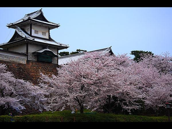 2022年移民日本需要多少钱