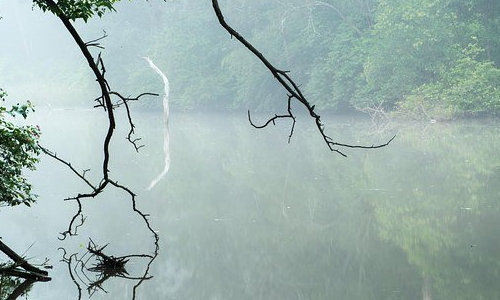 普通人怎样移民澳洲？三种最为常见的移民方式