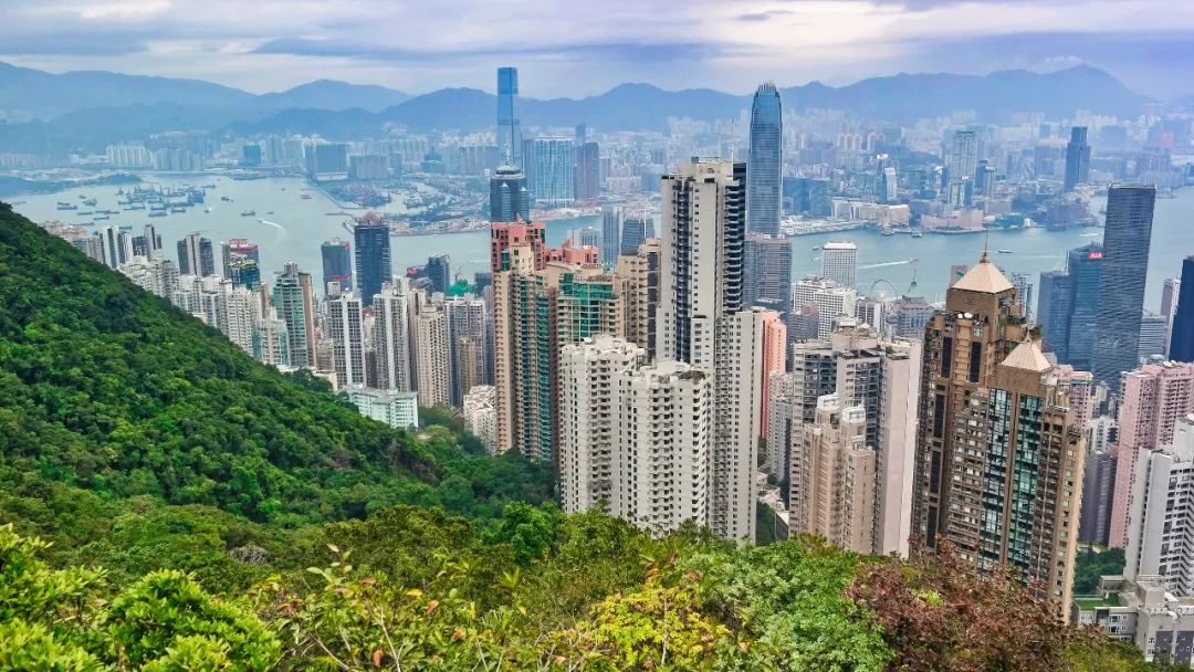 移民香港需要什么条件?如何快速拿到香港身份