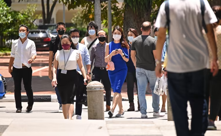 新加坡:从9月1日起雇主公司必须核实就业准证申请人的学历