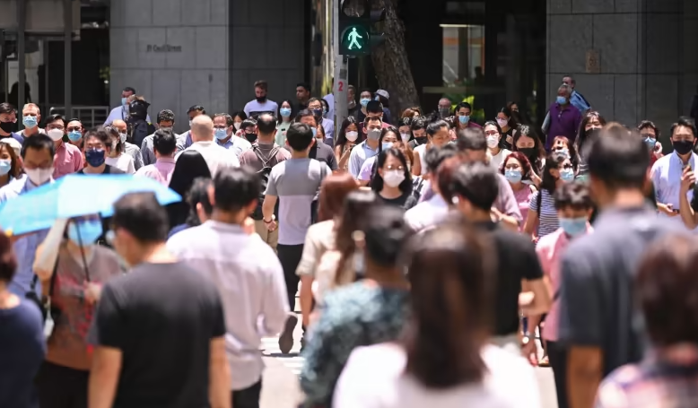 新加坡:从9月1日起雇主公司必须核实就业准证申请人的学历