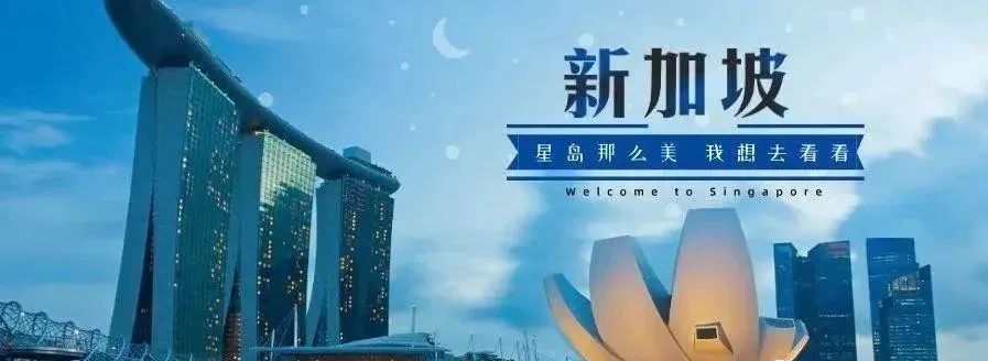 在新加坡开公司2年，每月几百万流水，申请新加坡PR依旧被拒！