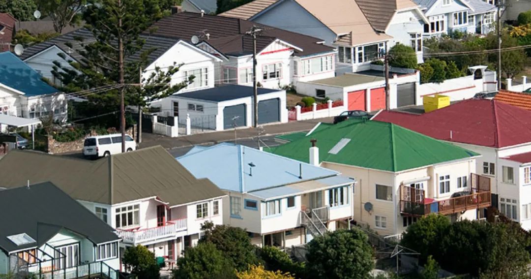 新西兰净移民大幅增长！移民购房者占比持续上升！