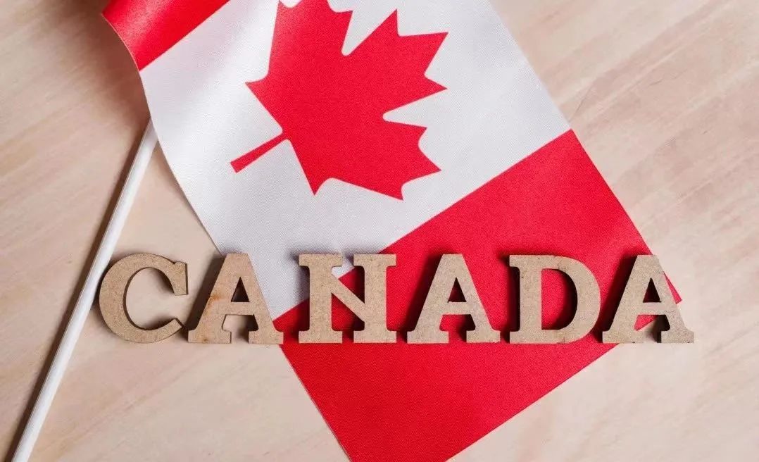加拿大生活成本高吗，半年4万移民离开