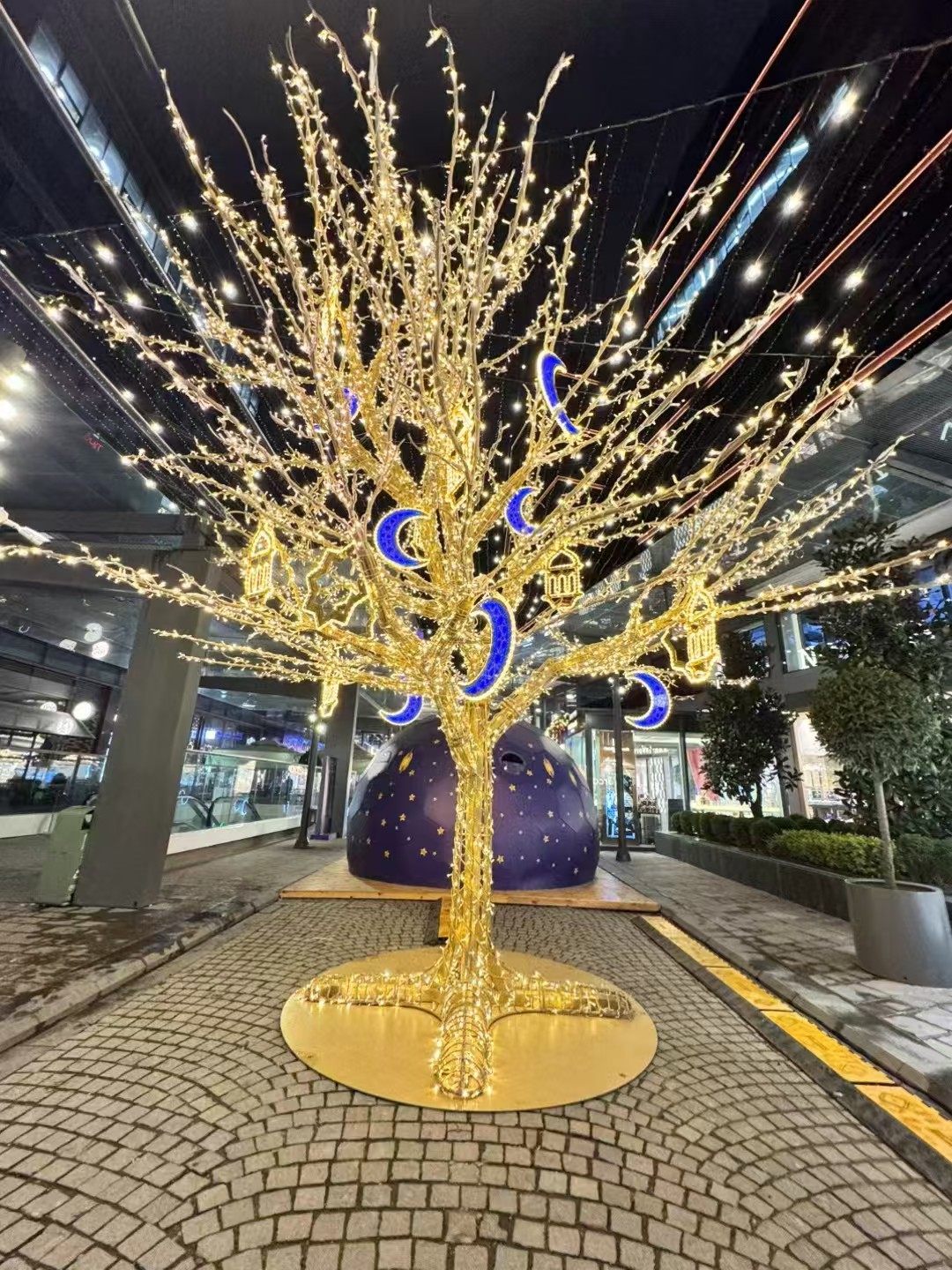 土耳其护照代办公司推荐 了解清楚再出手