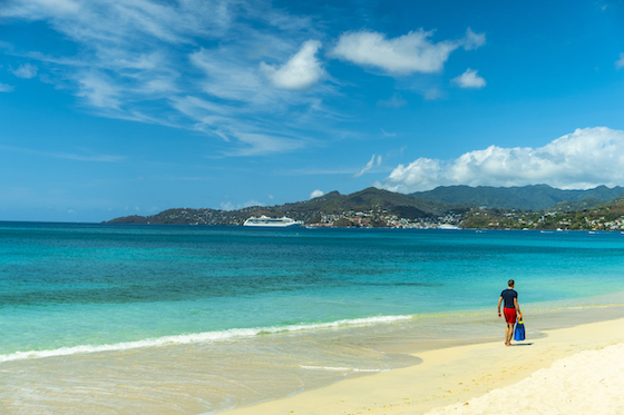 格林纳达护照申请条件 2026年申请流程全都有