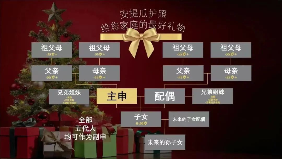 安提瓜移民办理 2026大家庭办理首选